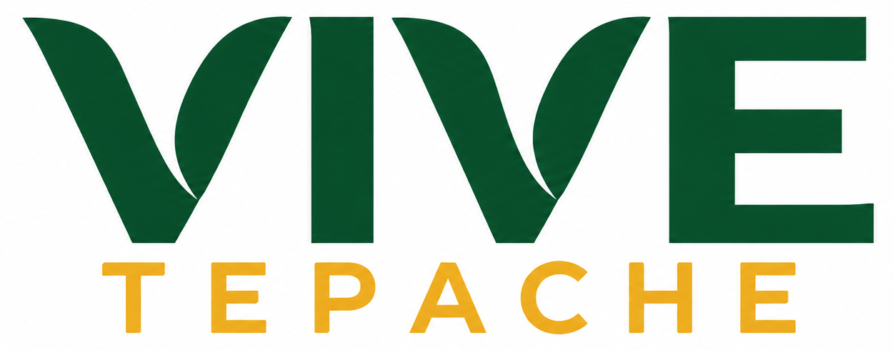 VIVE Tepache